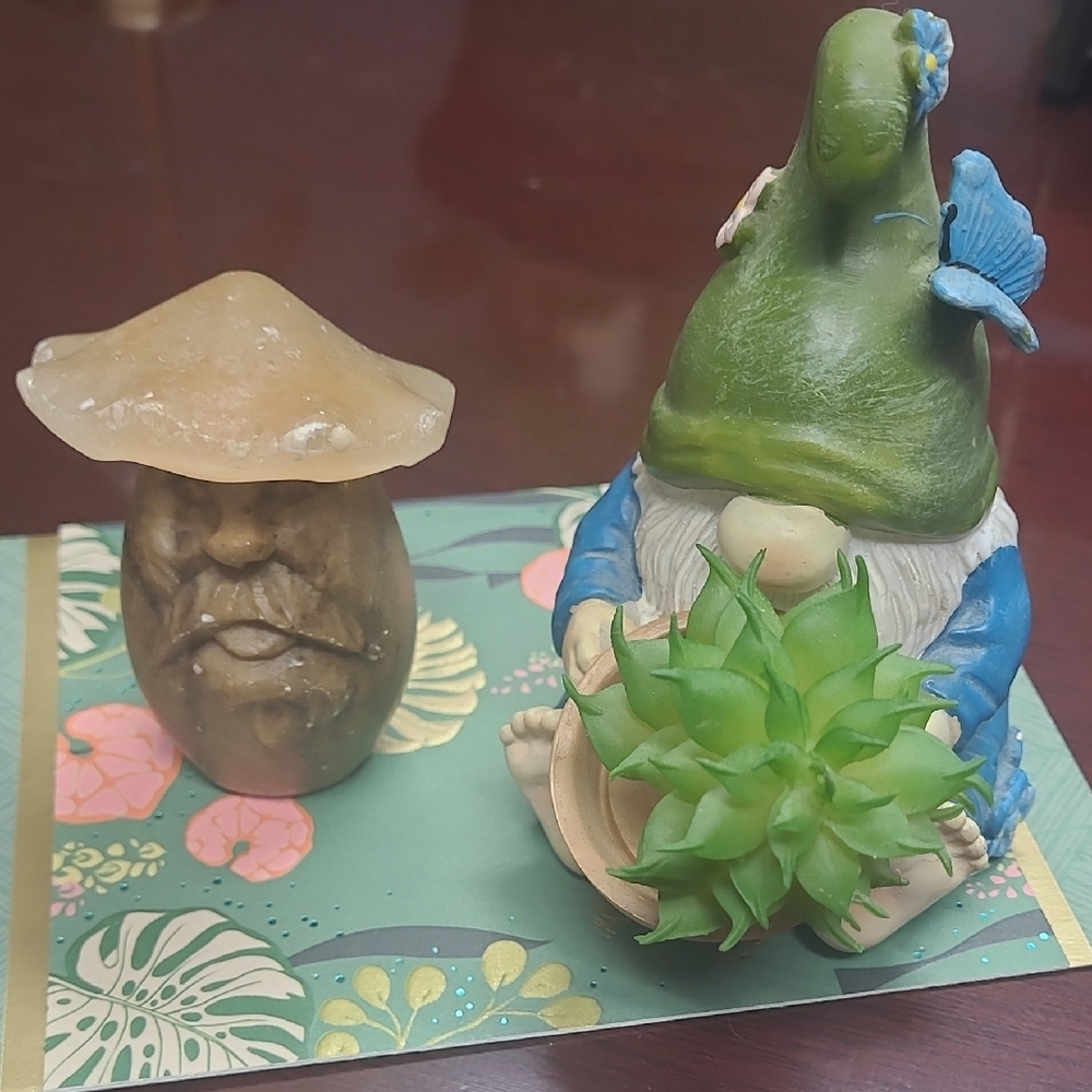 Whimsical Gnome w/ Fake Succulent and Onyx Stone Mushroom Face Figurines
